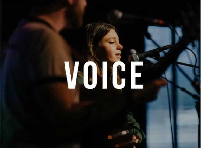 voice